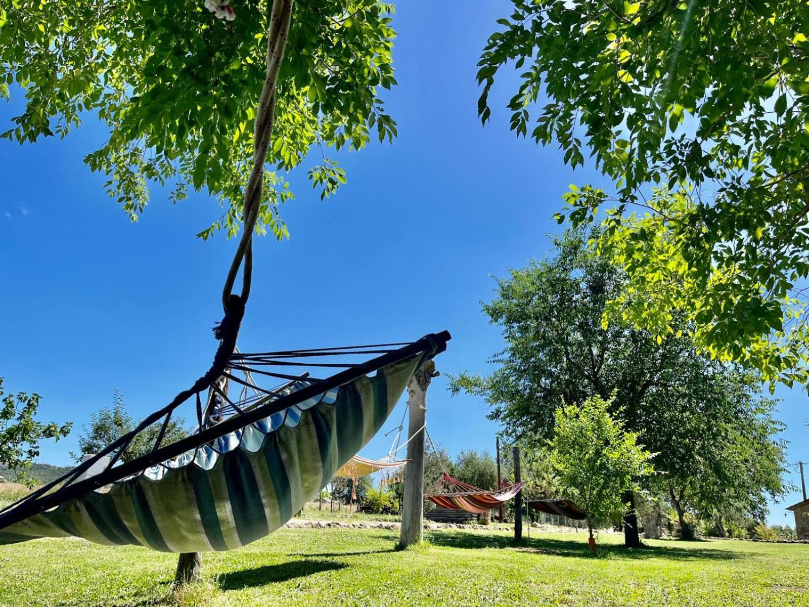 Agriturismo Podere Dell' Olmo Amelia Εξωτερικό φωτογραφία