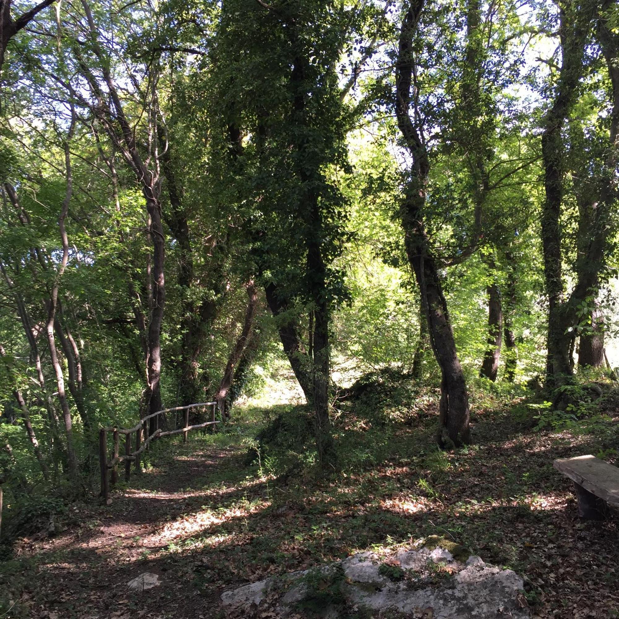 Agriturismo Podere Dell' Olmo Amelia Εξωτερικό φωτογραφία
