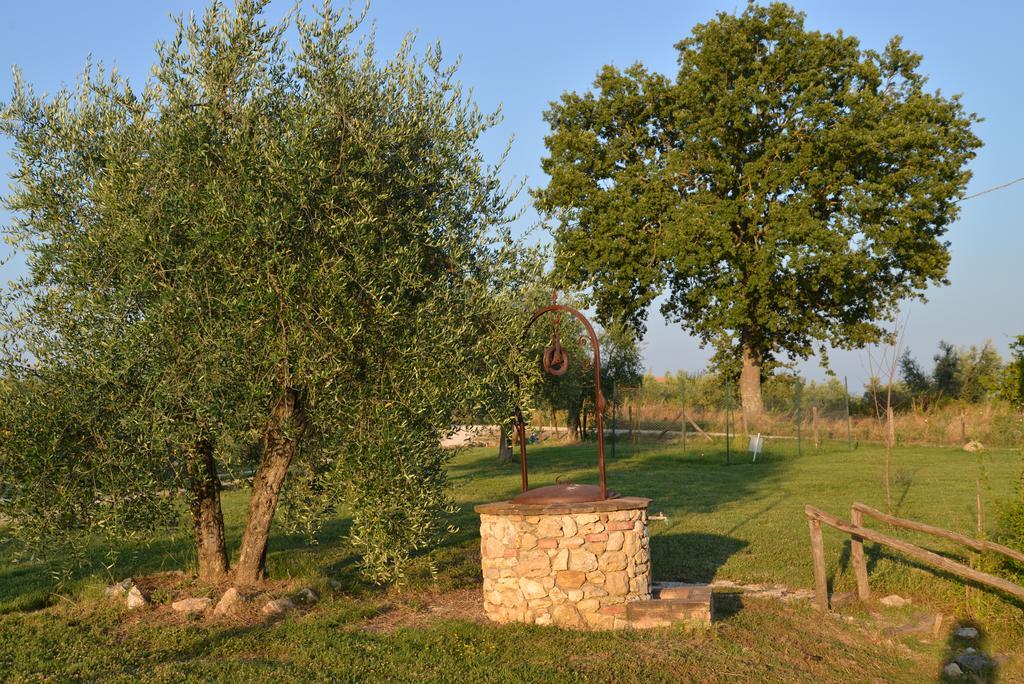 Agriturismo Podere Dell' Olmo Amelia Εξωτερικό φωτογραφία