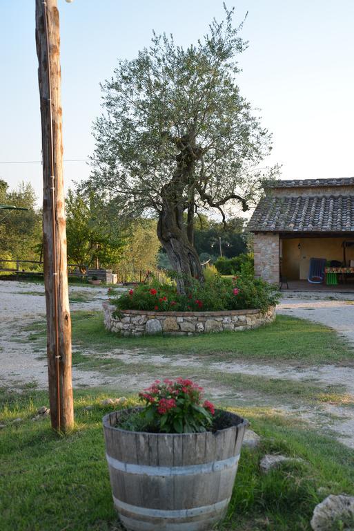 Agriturismo Podere Dell' Olmo Amelia Εξωτερικό φωτογραφία