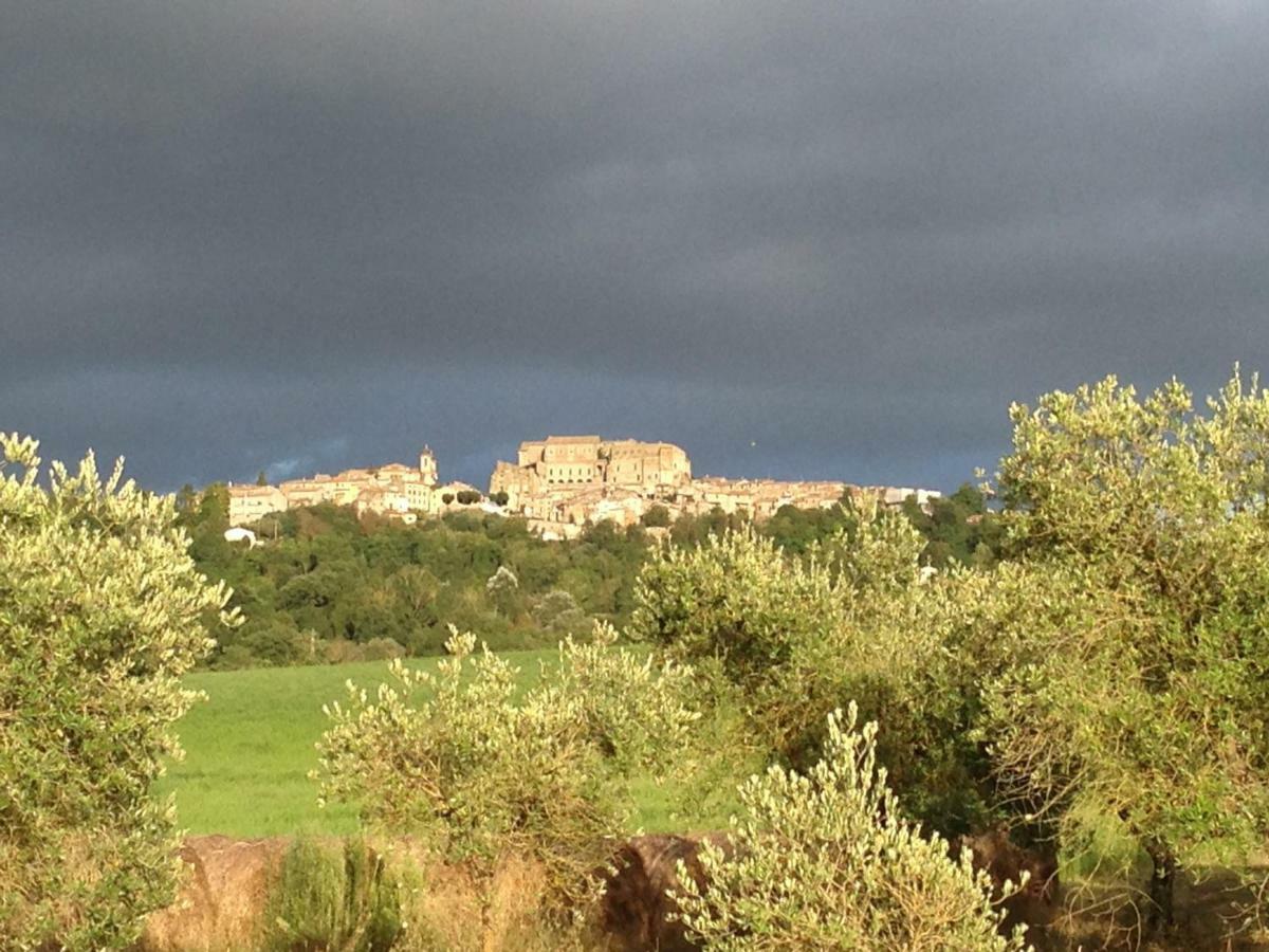 Agriturismo Podere Dell' Olmo Amelia Εξωτερικό φωτογραφία